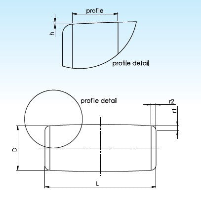 SKF RC-13X20 C  ložiskový váleček
